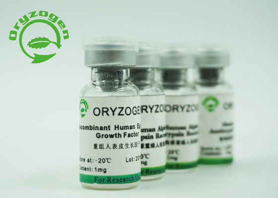 98% 순도 재조합체 EGF 냉동 건조 파우더 하얀 6.3Kd 분자량
