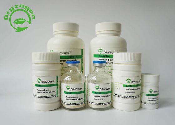초대 세포 배양을 위해 99% 순도 재조합 인간 혈청 알부민 HSA M/P 65C보다 더 큽니다