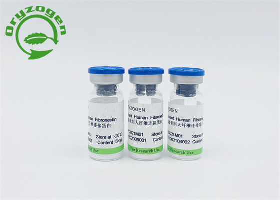 ISO9001 식물 파생된 재조합 사람 파이브로넥틴