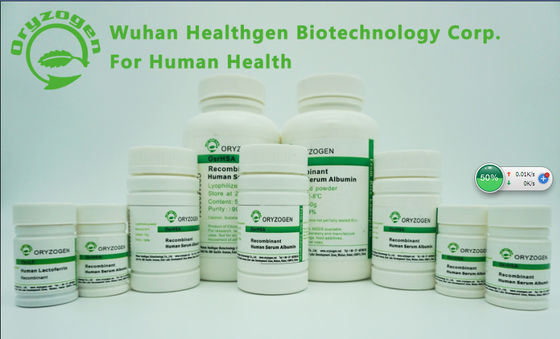 공장 파생된 재조합형 알부민 HSA 6.4-7.4 PH 냉동 건조 파우더