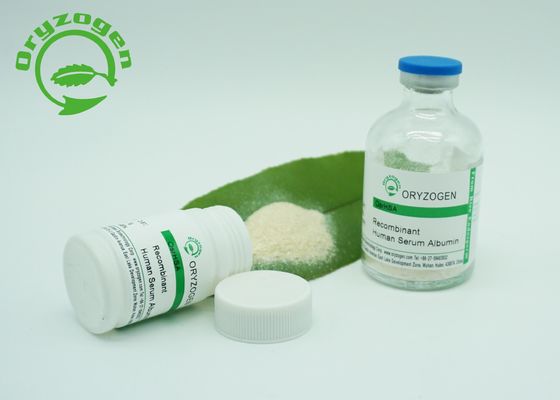 백신 CAS 70024 90 7를 위한 Oryzogen 65 KD 재조합형 HSA 분말
