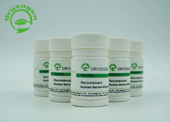 0.125EU/Mg 내독소하를 갖는 CAS 70024-90-7 재조합 인간 알부민 HSA
