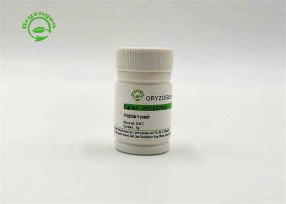 DN 분해 효소 / RNA 가수분해효소 무료 고순도 재조합형 프로테이나제 Ｋ 39450-01-6
