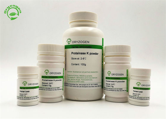 엥리테모돈튬 앨범 프로테이나제 Ｋ 재조합형 고순도 50-100 ug / ML