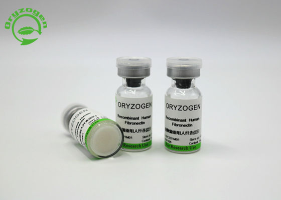 세포 배양 매체 HYC021M01을 위한 220 KDa 고순도 재조합체 파이브로넥틴 FN