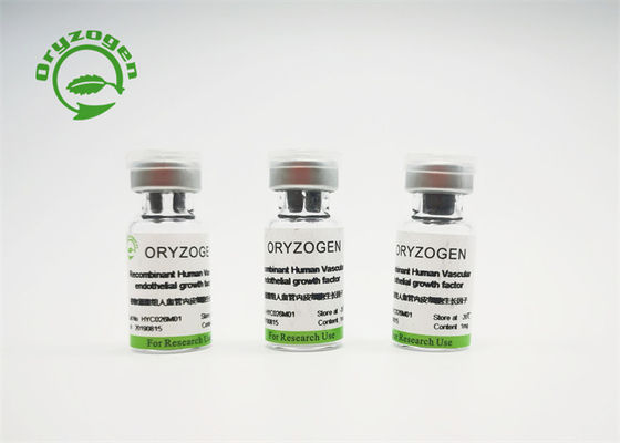 고순도 낮은 내독소 재조합체 VEGF CAS 127464-60-2 번