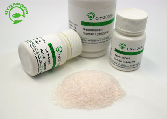 설사 처리 재조합체 리소자임 라이즈 냉동 건조 파우더 50g