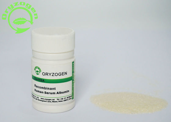 Oryza Sativa OsrHSA 동결 건조 분말 ISO9001 인증