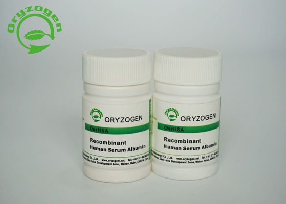 Oryzogen 쌀 파생 재조합 인간 혈청 알부민 CAS 70024-90-7