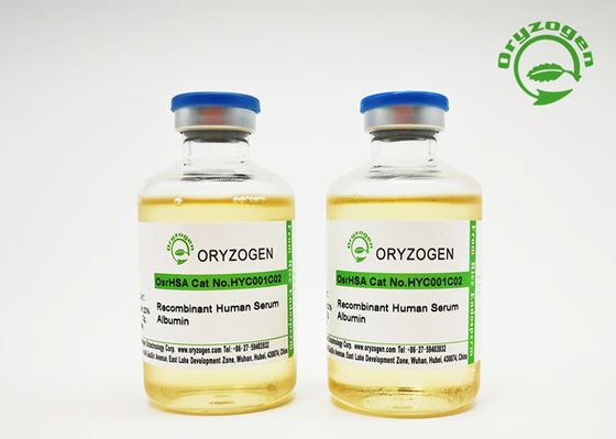20% 농도를 가진 부형제 급료 재조합형 인간 혈청 알부민 액체 50mL