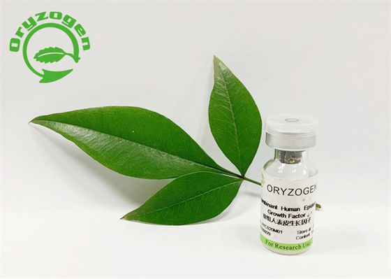 53 아미노산 5.3kD 재조합 인간 EGF 동결 건조 분말