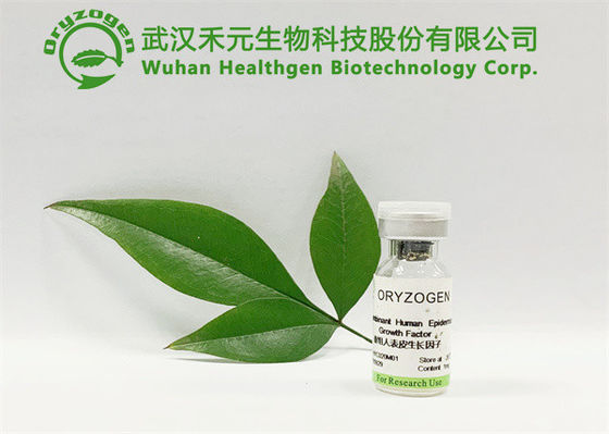화장품 산업 백색 EGF 동결 건조 분말 CAS 62229-50-9