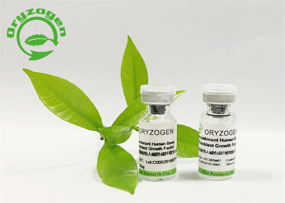 Oryza Sativa 화장품 성분 기본 FGF 동결 건조 분말