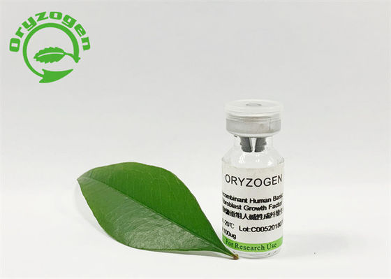 맛없는 95% 순도 Oryza Sativa 기본 FGF 동결 건조 분말