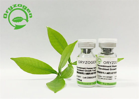 식물 유래 인간 섬유아세포 성장 인자 ISO9001 승인