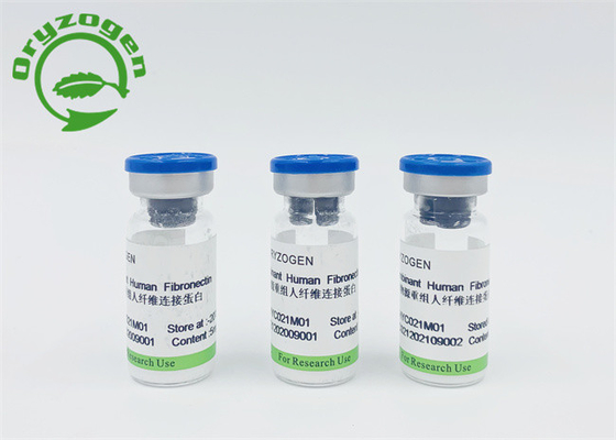 동물 성분 무료 재조합 사람 파이브로넥틴 CAS 86088-83-7